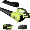 Amazon : $53.99 ($99.99)  PULITUO 20V Cordless Leaf Blower with 4.0Ah Battery and Charger, 400 CFM Cordless Electric Leaf Blower with Long & Short Nozzles, Lightweight Handheld for Garden Leaves, Yard Cleaning, and Wood Chips. :$53.99 ($99.99)