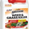 Amazon: $6.00 ($13.84) Branded Weed & Grass Killer, Use On Driveways, Walkways and Around Trees, 1 Gallon