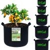 Amazon: $11.39 ($19.99) 5Packs Mixed Size Grow Bags, Fabric Plant Grow Bags Fabric Planters Garden Bgas