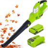 Amazon:$47.53 ($99.99)HARDELL Leaf Blower, 18V Small Leaf Blower Cordless with 2.0Ah Battery & Fast Charger, Lightweight Electric Leaf Blower for Lawn Care, Patio, Blowing Leaves, Green