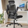 Amazon:$89.99 ($149.99)HUANUO Ergonomic Office Chair, High Back Desk Chair with Adjustable Lumbar Support & Headrest, Home Office Swivel Mesh Computer Chair Flip-Up Armrests, Executive Office Chair with Wheels