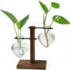 Amazon: $8.39 ($21.99) Plant Terrarium Wooden Stand, Hydroponic Planter Bulb Glass Metal Swivel Holder