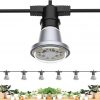 Amazon:$43.49 ($86.99)SANSI Hanging Grow Light String for Indoor Outdoor, 6 Led Grow Light Bulbs 72W, IP65 Waterproof Plant Grow Lamp for Greenhouse Garden, Full Spectrum Grow Light with 22ft Cord for Veg Seedling Flower