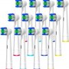 Amazon: $4.99 ($9.99) Toothbrush Replacement Heads,12 Pcs from