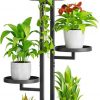 Amazon:  $17.49 ($35.99) 4 Tier Plant Stand Indoor Outdoor
