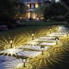 Amazon: $12.99 ($31.99) 8pk Solar Pathway Lights Outdoor Waterproof,