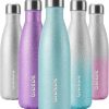 Amazon:  $6.77 ($7.53)17oz Insulated Water Bottles Stainless Steel