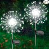 Amazon:$19.99($22.99)Solar Garden Lights Outdoor, 2 Pack 120 LED Twinkling Firework Lights Decorative with 2 Modes, OSolar Garden Lights Outdoor, 2 Pack 120 LED Twinkling Firework Lights Decorative with 2 Modes, Outdoor Waterproof Solar Starburst Light for Outside Yard Pathway Garden Decor, Whiteutdoor Waterproof Solar Starburst Light for Outside Yard Pathway Garden Decor, White
