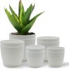 Amazon : $12.66 ($16.99)  Plastic Plant Pots with Drainage - Home Decor Flower Pot, Stackable Design for Indoor & Outdoor Use, Lightweight and Sturdy, Space-Saving, (7”, 6.6”, 6”, 5.3”, 4.8” Inches), Pack of 10, White