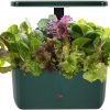 Amazon : $32.22 ($41.75)  AeroGarden Harvest 2.0, Indoor Garden Hydroponic System with LED Grow Light, Holds up to 6 AeroGarden Pods, Green