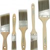 Amazon : $7.99 ($11.99) Pro Grade, Paint Brushes, 5-Piece, Paint Brush Set: Flat & Angle Brushes for Latex and Oil Paints, Stains, Interior & Exterior Home Improvement