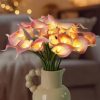 Amazon: $13.49 ($26.99) 20pcs Artificial Calla Lily Bouquet Lamp Faux Floarl Night Light