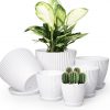 Amazon: $8.49 ($16.99) Plant Pots Indoor with Saucers & Drainage – 6 Pack Flower Pots