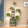 Amazon:  $29.99 ($64.99) Plant Stand Indoor with Grow Lights, 9 Tiered Plant Shelf