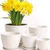 Amazon: $9.99 ($17.49) Plant Pots Indoor with Drainage, 5 Pack