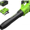 Amazon : $120.17 ($229.99)  Greenworks 40V (130 MPH / 550 CFM / 75+ Compatible Tools) Cordless Brushless Axial Leaf Blower, 4.0Ah Battery and Charger Included