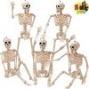Amazon : $18.99 ($39.99)  JOYIN 5 PCS Posable Halloween Skeleton Decor 16 Inches, Full Body Posable Joints Hanging Skeletons for Halloween Decorations, Graveyard Props, Haunted House Accessories, Spooky Scene Party Favors