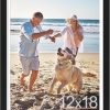 Amazon: $8.03 ($21.99) 8×12 Picture Frame, Display Pictures 6×8 with Mat