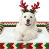 Amazon : $17.99 ($49.98) Christmas Dog Bed Large Sized Dogs-Orthopedic Waterproof Dog Beds,Comfort Pets Couch Sofa with Washable Removable Cover,Christmas Holiday Themed Pet Bed for Large Cat Dogs
