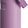 Amazon:$22.50 ($35.00)Stanley IceFlow Fast Flow Water Bottle | Angled Spout Lid | Lightweight & Leakproof for Travel & Sports | Insulated Stainless Steel | BPA-Free