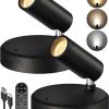 Amazon:$16.89 ($29.99)EZVALO Spotlights Indoor with Remote, 5500mAh Rechargeable Picture Lights, Wireless LED Uplighting with Timer＆Dimmable, 3CCT, Display Lights for Plant Painting, Artwork, Accent Lighting (2Pack-Black) | Wireless, Rechargeable, 5500mAh, with Remote