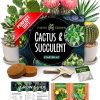 Amazon: $11.99 ($36.99) Succulent & Cactus Seed Kit for Planting – Premium Cactus & Succulent Starter Kit