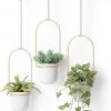 Amazon : $18.92 ($50.00) Umbra Triflora Hanging Planter for Window, Indoor Herb Garden, Set of 3, White/Brass