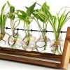 Amazon: $10.49 ($20.99) Plant Terrarium with Wooden Stand, Wall Hanging Glass Planter