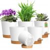 Amazon: $9.99 ($14.99) 4 inch Self Watering Pots for Indoor Outdoor Plants, 6 Pack Plastic Flower Planters
