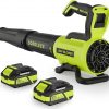 Amazon:$53.98 ($89.99)Leaf Blower Cordless with 2× 4.0Ah Batteries and Charger, 560CFM & 180MPH Lightweight Leaf Blower, 2 Speed Electronic Control, 20V Electric Blower for Driveway, Lawn & Yard Care