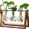 Amazon : $9.91 ($20.00) XXXFLOWER Plant Terrarium with Wooden Stand, Air Planter Bulb Glass Vase Metal Swivel Holder Retro Tabletop for Hydroponics Home Garden Office Decoration - 3 Bulb Vase