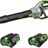 Amazon : $329.99 ($559.80) EGO Power+ LB7654 56-Volt 765 CFM Brushless Cordless Leaf Blower, 5.0Ah Battery, 320W Charger Included Plus Extra BA1400T 2.5Ah Battery