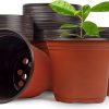 Amazon:  $7.99 ($16.99) 100 PCS Plastic Nursery Pots 6 Inch Seed Starting Pots